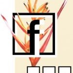 ad_flokati_4jahre_a6partys_final ad_flokati_4jahre_a6partys_final