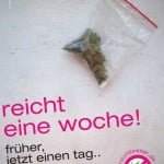 final_canabis_2_reichteinewoche2