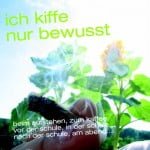 final_canabis_3_kiffenurbewusst